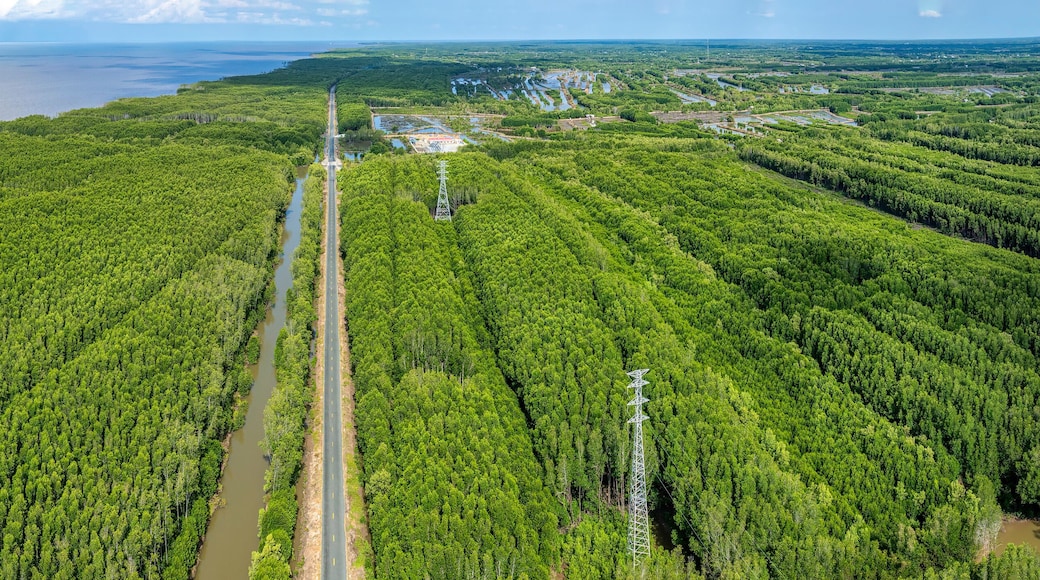 Road from Nam Can to Ca Mau cape, between mangrove forests highlighting the region’s natural beauty and biodiversity, Vietnam