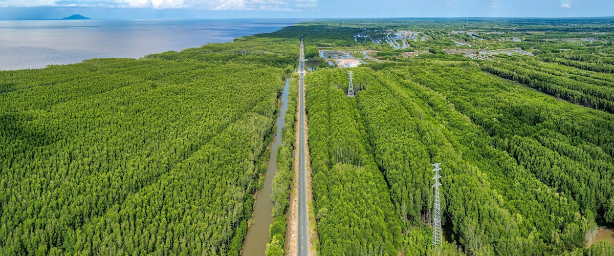 Road from Nam Can to Ca Mau cape, between mangrove forests highlighting the region’s natural beauty and biodiversity, Vietnam