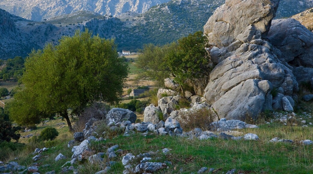 Calzada romana en Benaocaz. Sierra de Cadiz. Ruta Pueblos Blancos. Provincia Cadiz. Andalucia. España