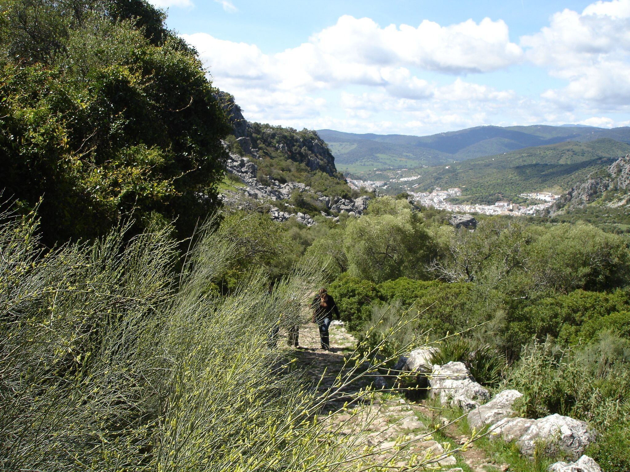 A hiker on a rocky trail surrounded by dense vegetation and mountains in the background.