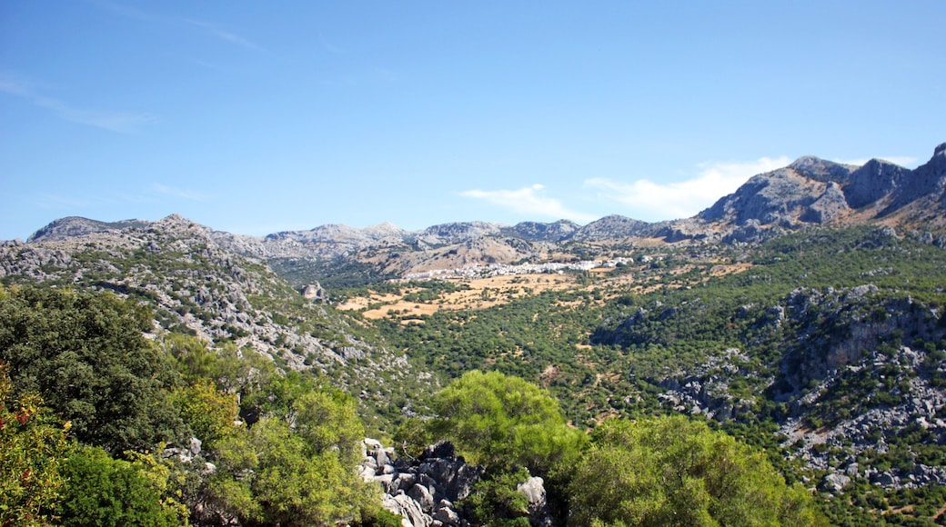 Paisaje del Parque Natural Sierra de Grazalema con el pueblo de Benaocaz al fondo, provincia de Cádiz Andalucía España