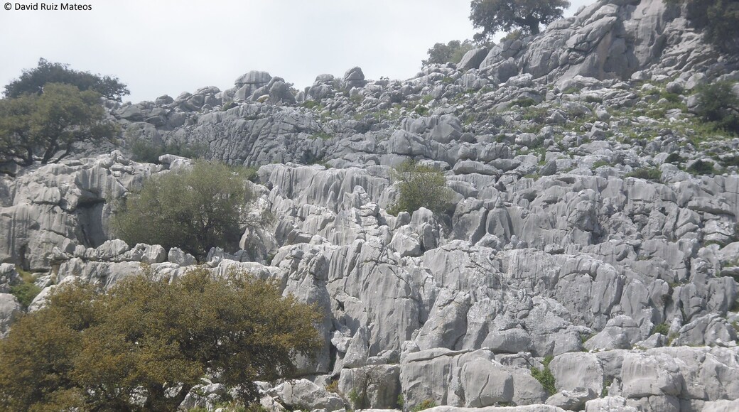 Lapiaces de algunos tipos en el que el mรกs abundante es el lapiaz en regueros Rillenkarren, en el puerto de Don Fernando, Benaocaz.