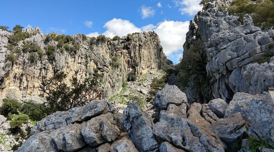 Imagen del Salto del Cabrero desde abajo, en Abril de 2018.