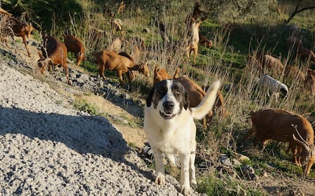 Cheap Flights to El Chorro - Main Image