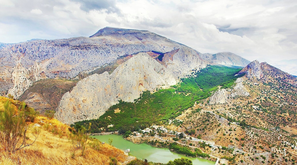 Millennia ago, this is where Africa collided with Europe. The mountains to the left were formed by the collision, and the fertile (green) valley between the ridges was formed by deep sea deposits as the mountains on either side eroded and broke down. Pretty cool to see the stark difference in vegetation between the ridges and just outside of them.
There are signs to get you to this particular viewpoint, and an English description of the scene once you get here.
