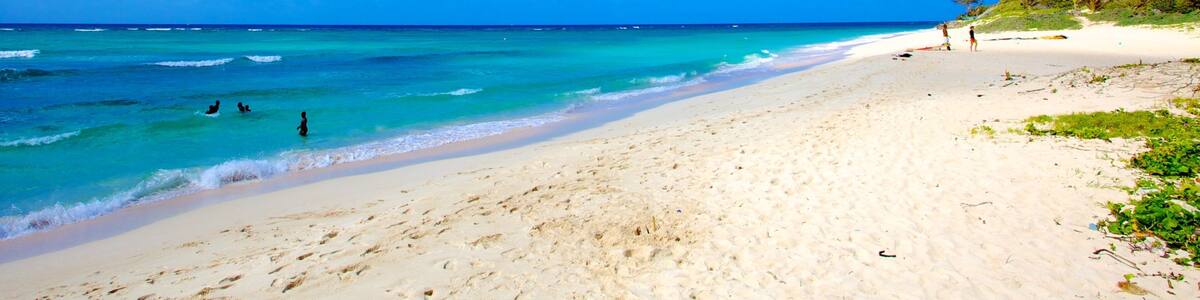 Barbados showing swimming, a beach and landscape views