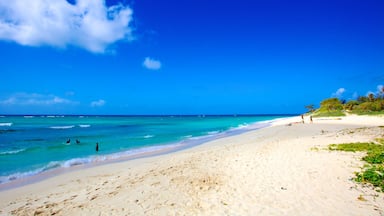 Barbados which includes landscape views, a sandy beach and swimming