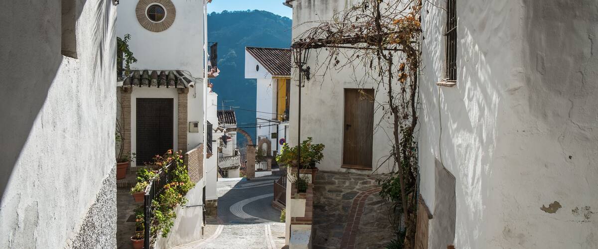 A narrow cobblestone street with white buildings, a palm tree, and a mountain in the background.