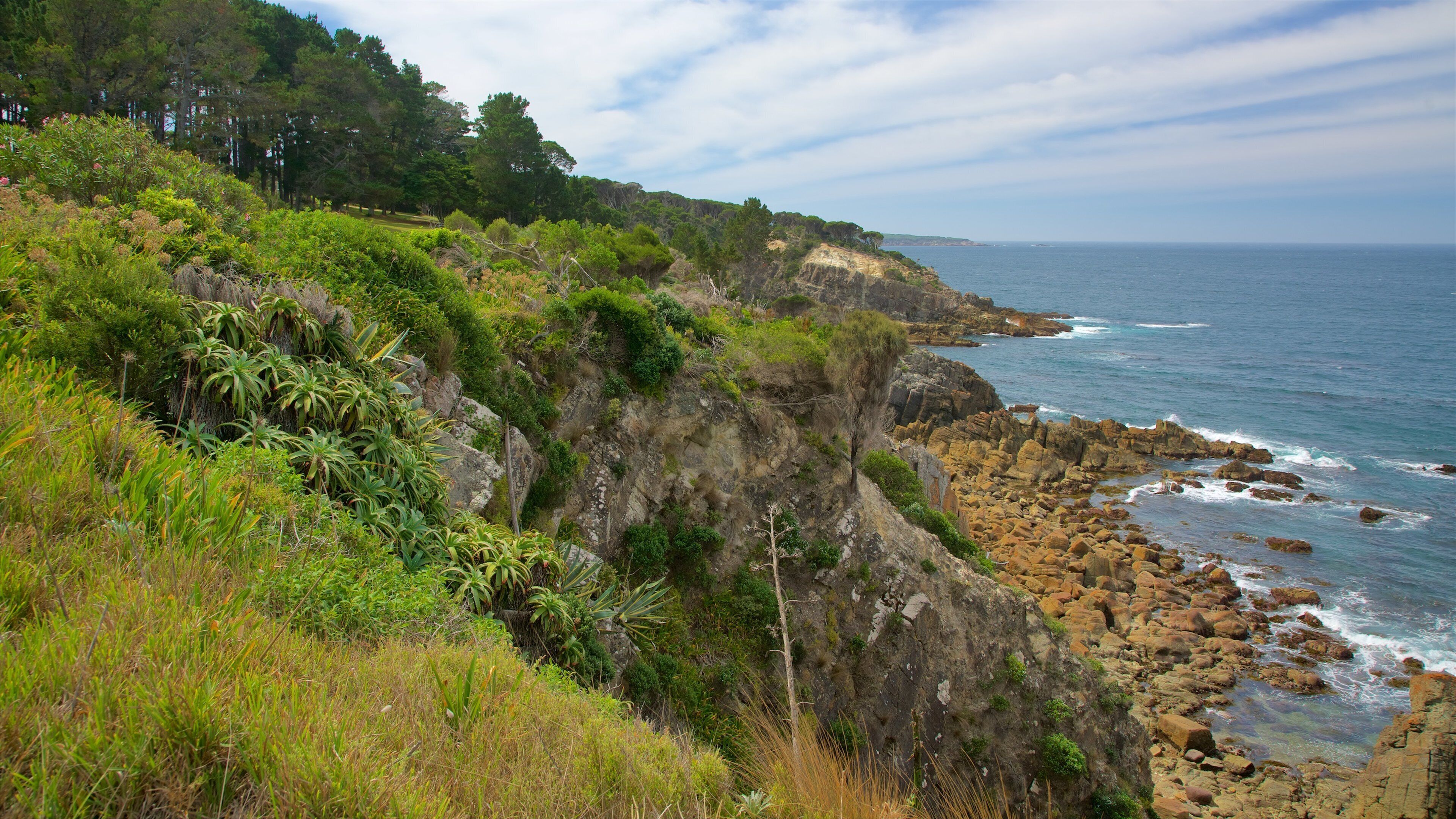 Rotary Park ofreciendo litoral rocoso