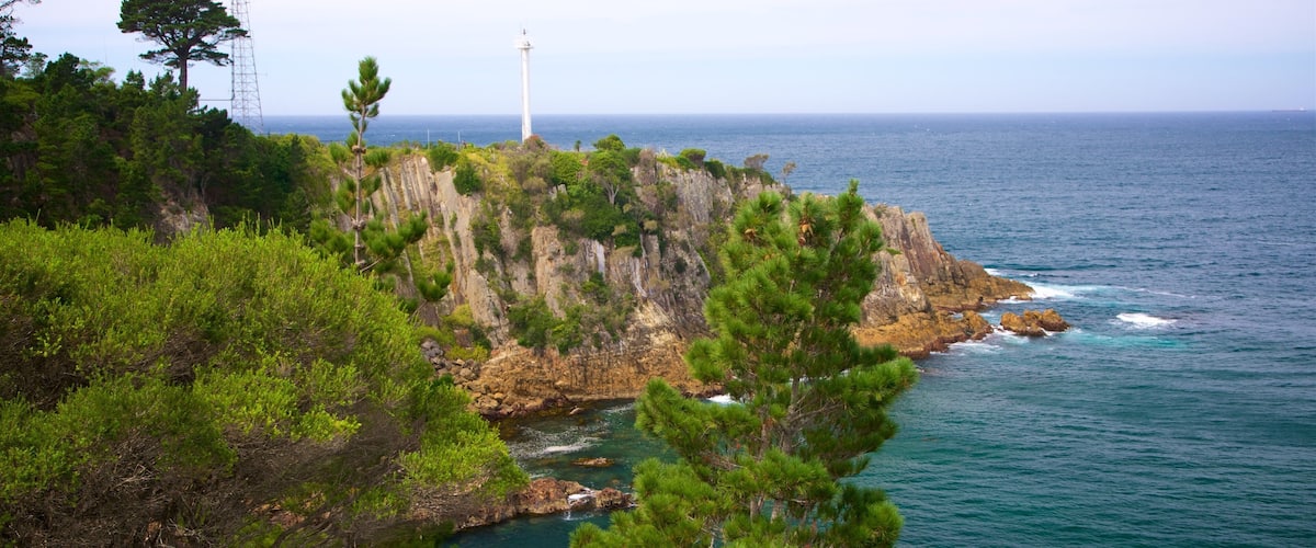 Rotary Park featuring rugged coastline