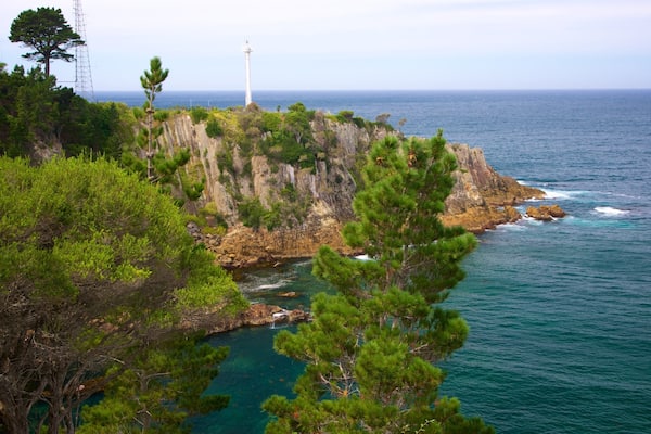 Rotary Park showing rocky coastline