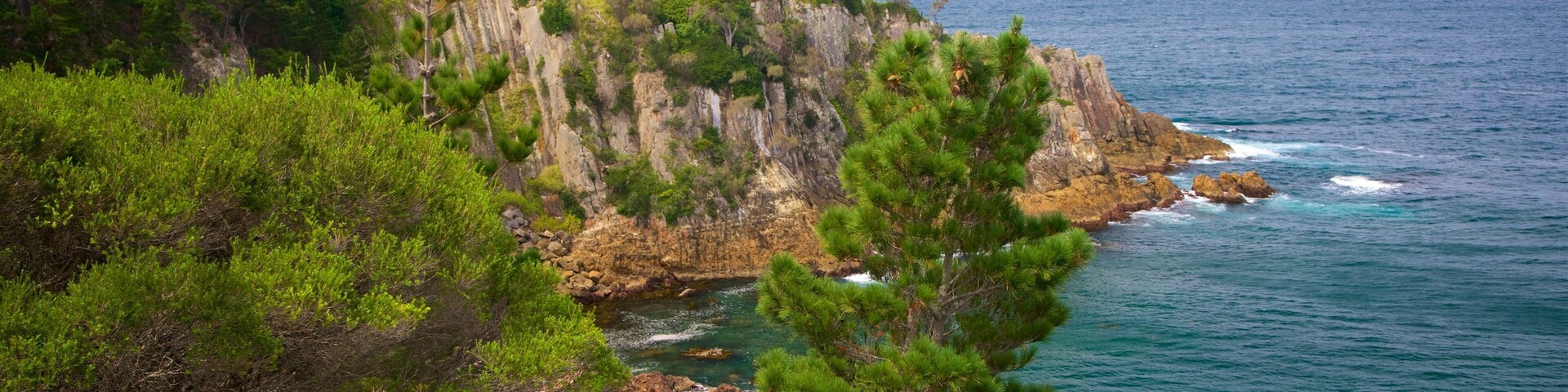 Rotary Park ofreciendo costa rocosa