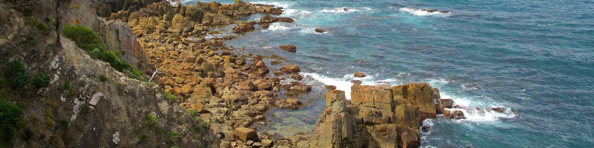 Rotary Park which includes rocky coastline