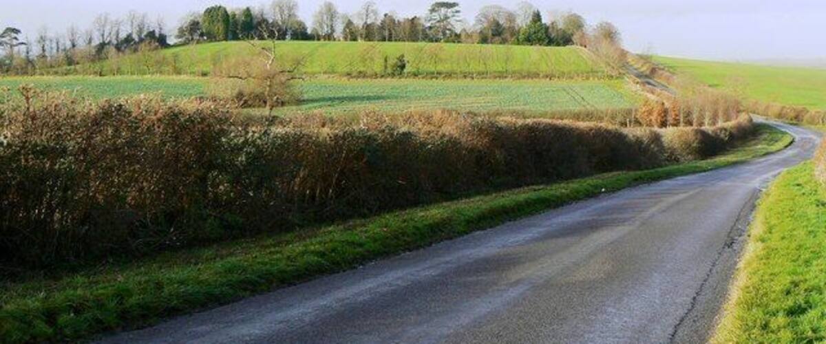 A rural road curving through fields with hedgerows and trees in the background.