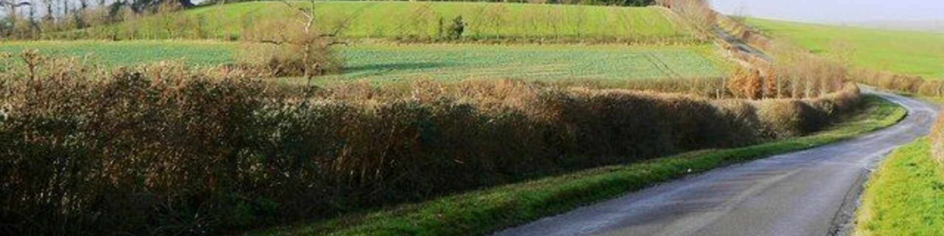 A rural road curving through fields with hedgerows and trees in the background.