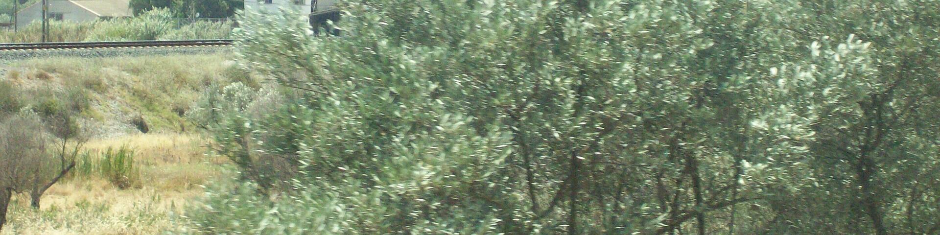 29560 Pizarra, Málaga, Spain