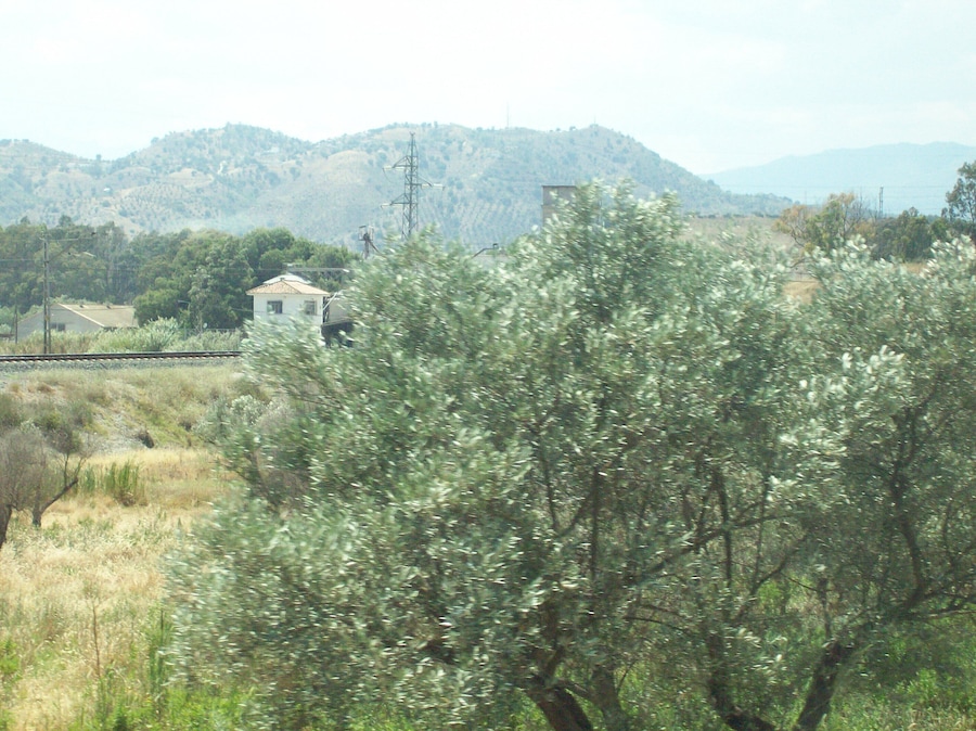 29560 Pizarra, Málaga, Spain