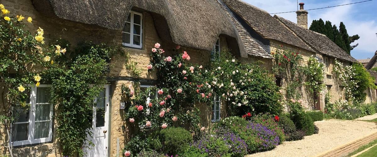 Thatched-roof cottages with flowering plants and a clear blue sky.