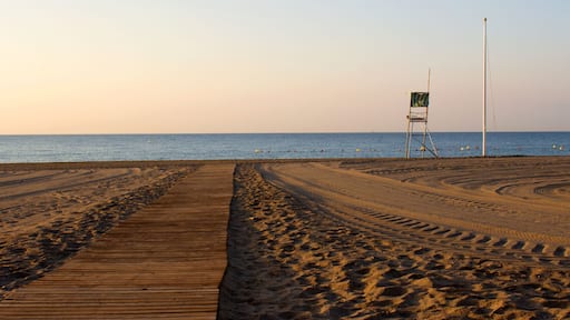 Beach. The place of the lifeguard on the beach.