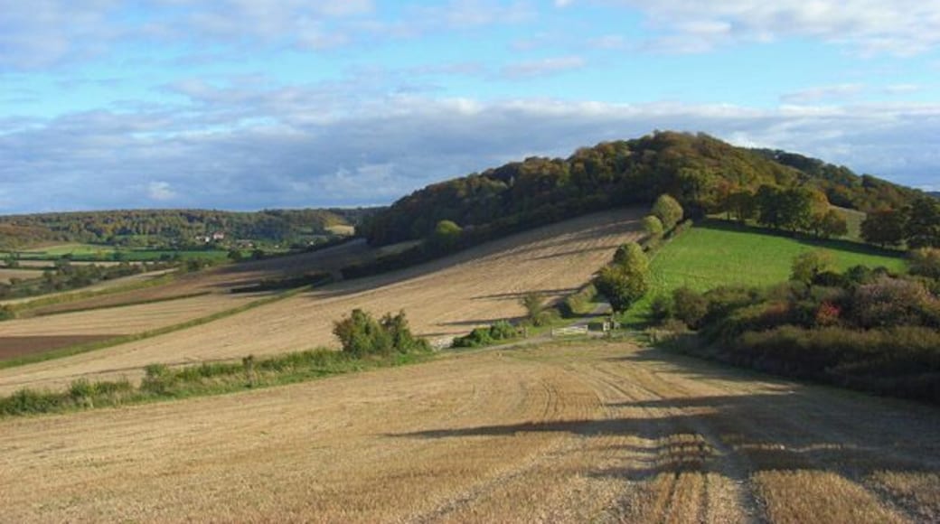 Farmland, Saunderton Looking down over stubble on the southeastern slope of Slough Hill. Allnutt's Wood is on the next hill. The village of Bradenham is visible in the distance to the left.