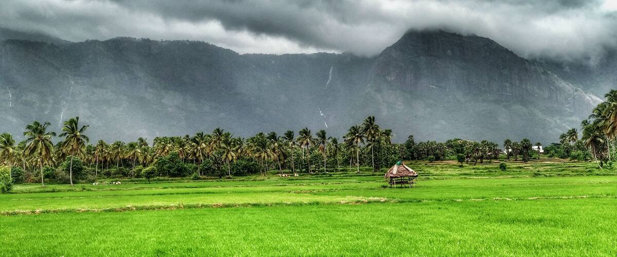 A lush green field with a small hut and palm trees, under a cloudy mountain backdrop.