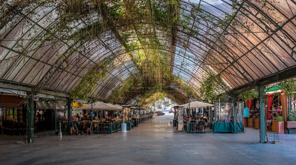 Calle Cubierta de Gramado