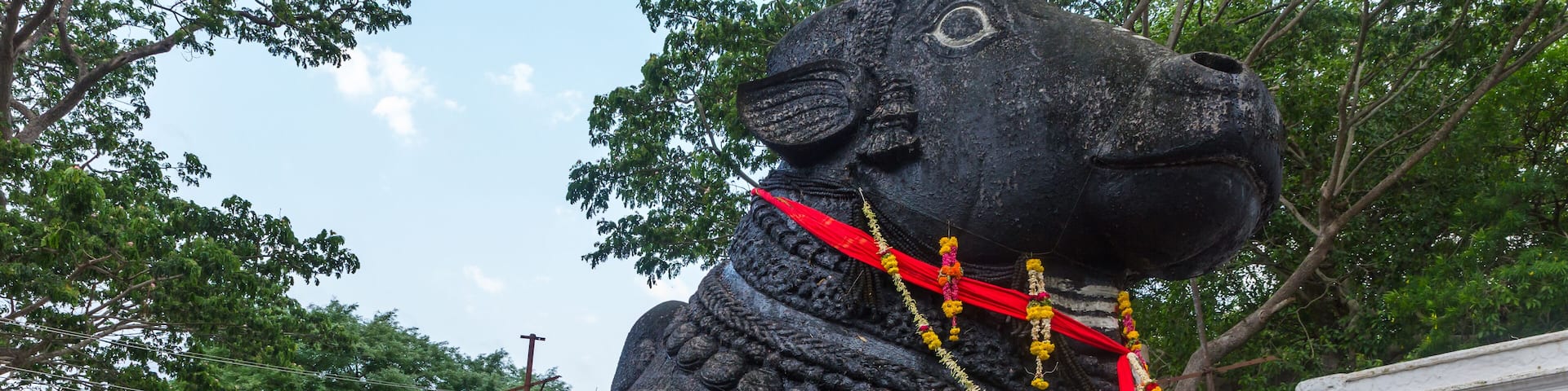 350 year old monolithic statue of Nandi (Bull) God, Chamundi Hill, Mysore, India. South Indian Temple, Hindu religious place. Mysore Maharaja.