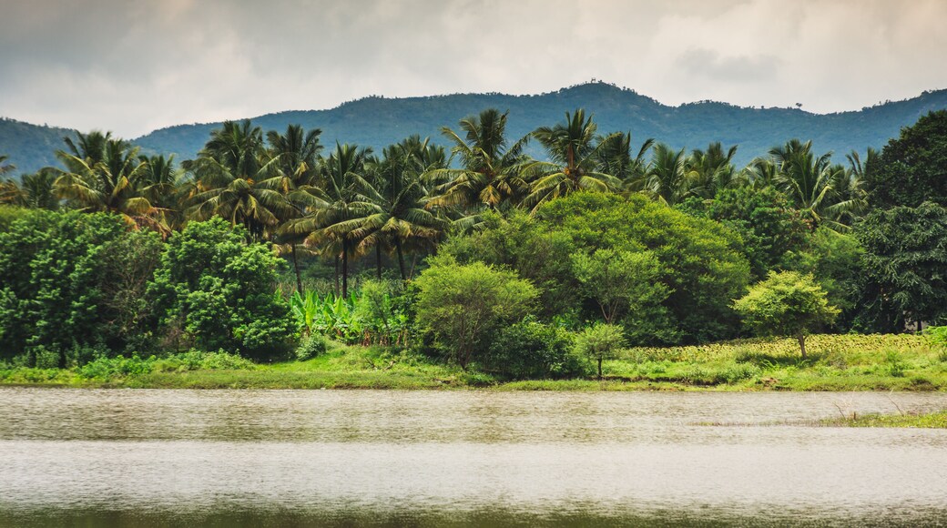 landscape of a beautiful lake nearby Bengaluru in Karnataka, India