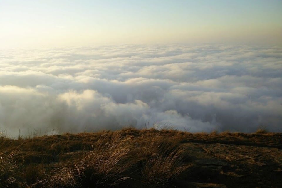 Un extenso mar de nubes bajo una colina cubierta de hierba.