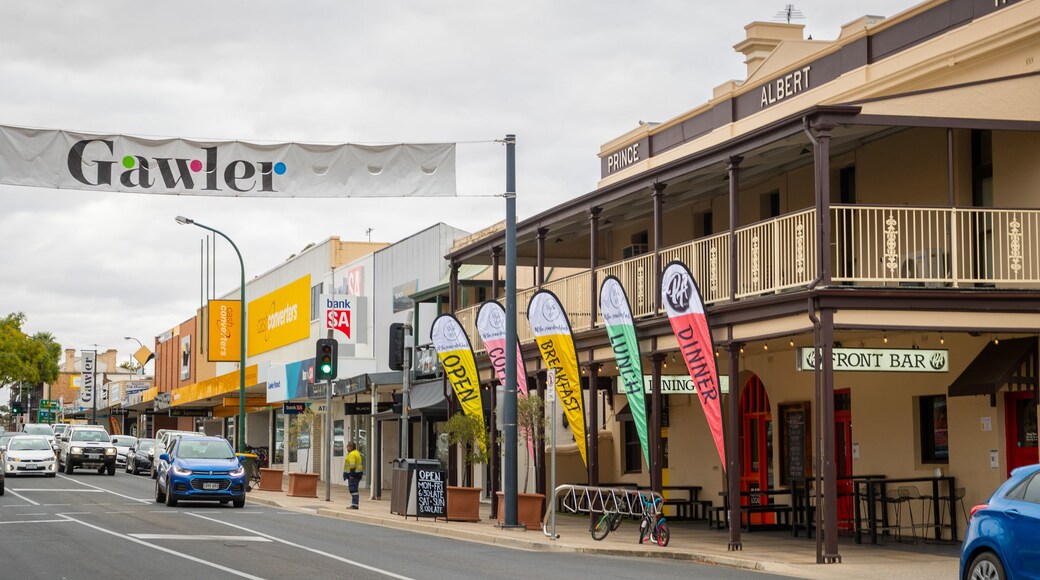 Gawler showing signage and a small town or village