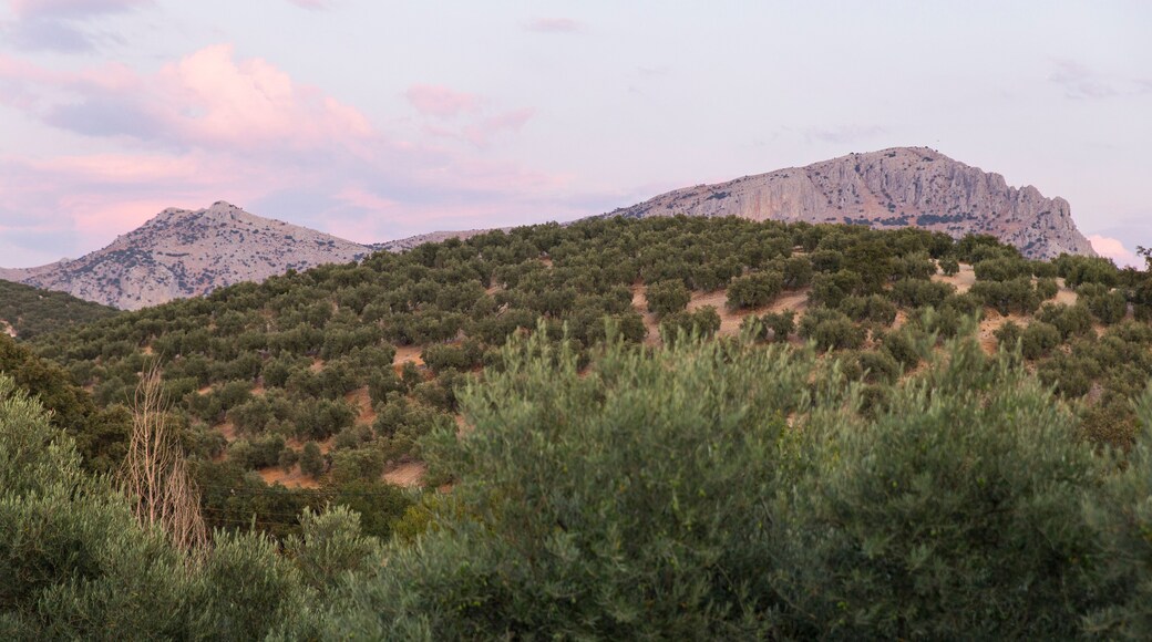 Villanueva del Trabuco