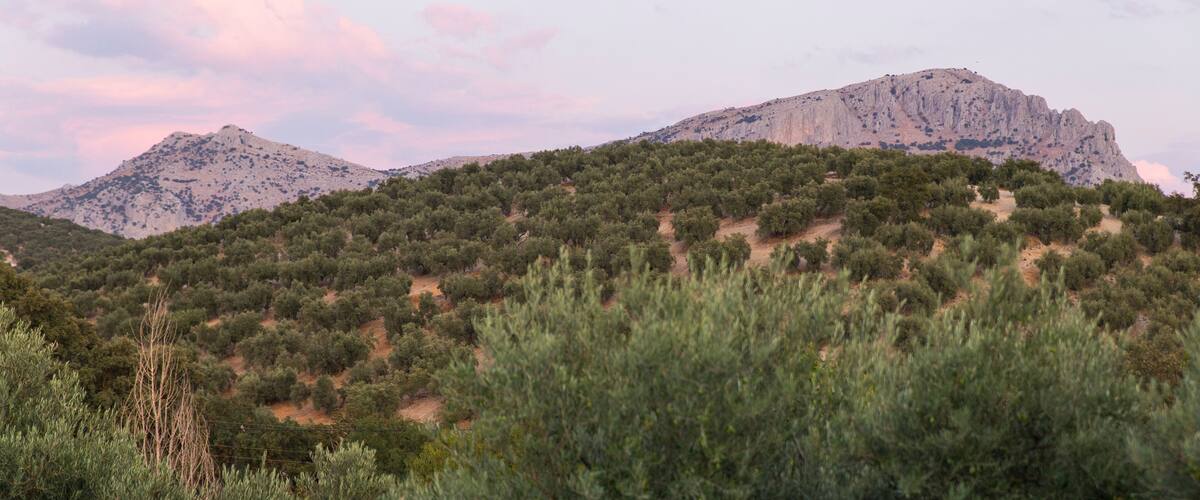 A mountainous landscape with dense vegetation and a clear sky.
