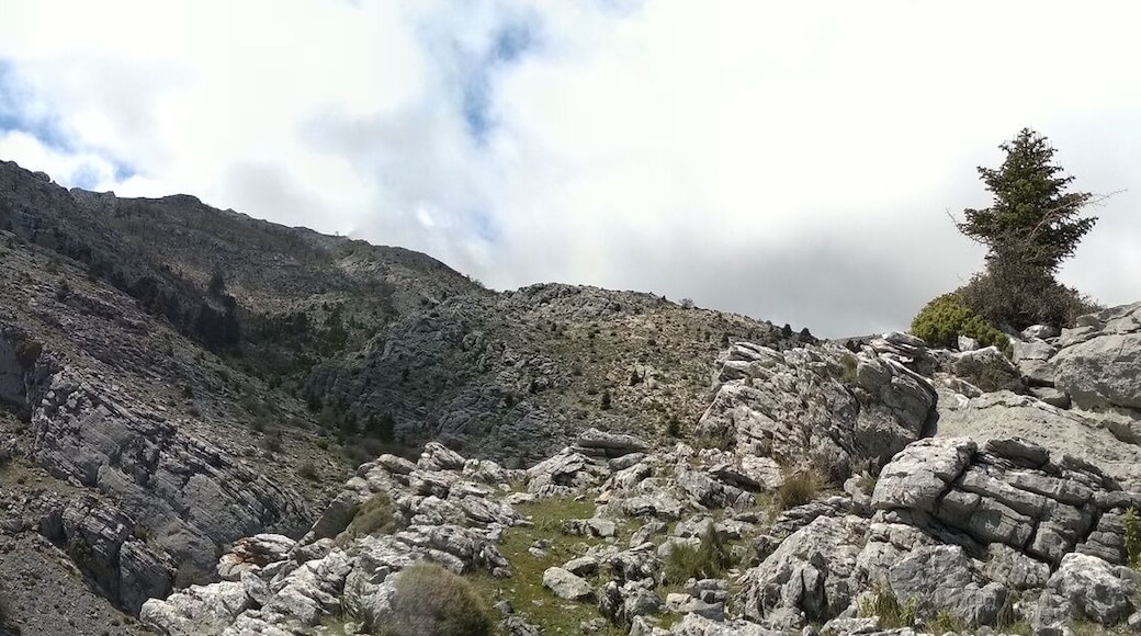 This is a photography of a Site of Community Importance in Spain with the ID: