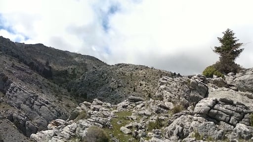 This is a photography of a Site of Community Importance in Spain with the ID: