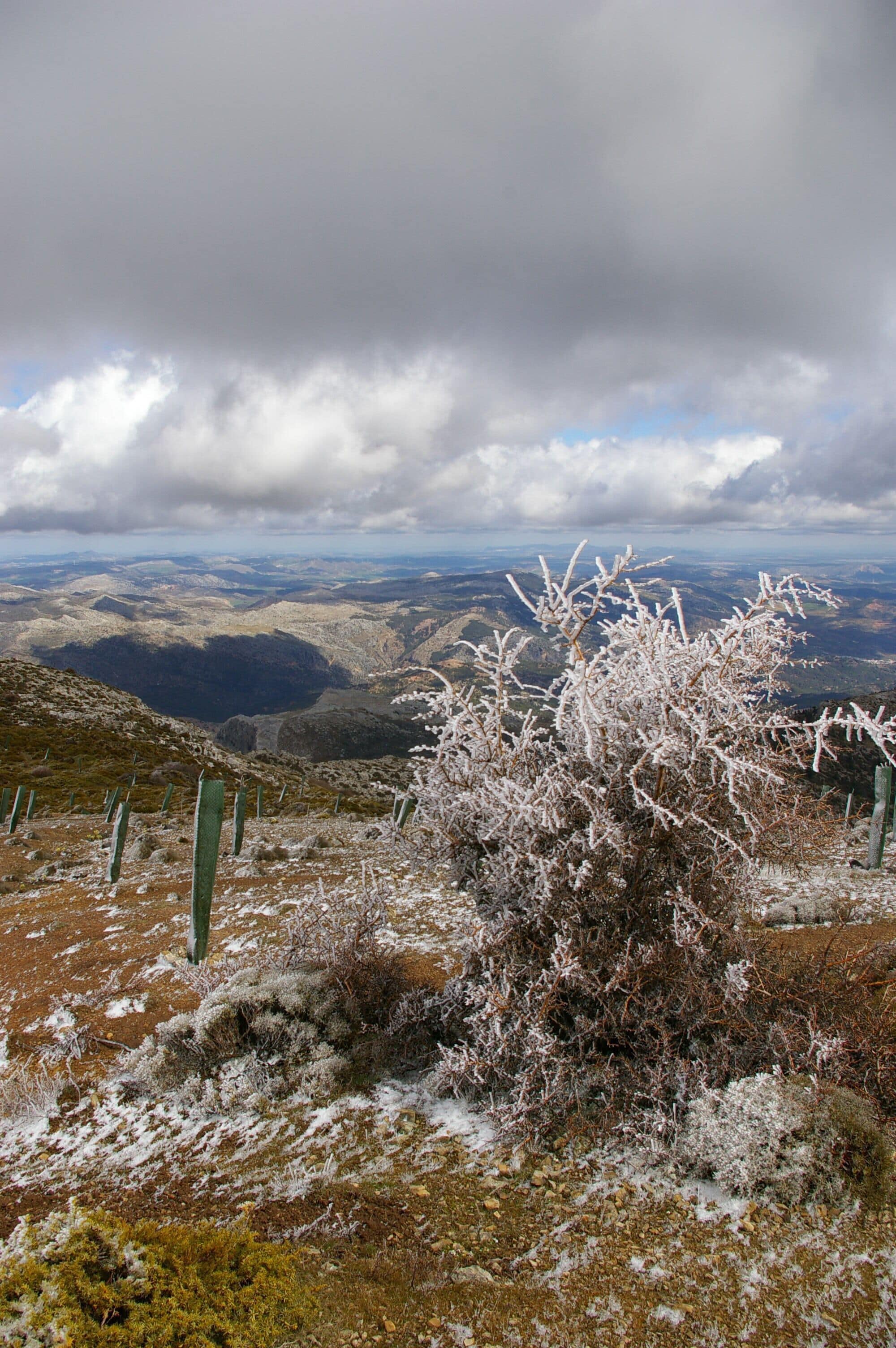 In the Sierra de las Nieves natural park, near Penon de Los Enamorados. Note: location is approximate.