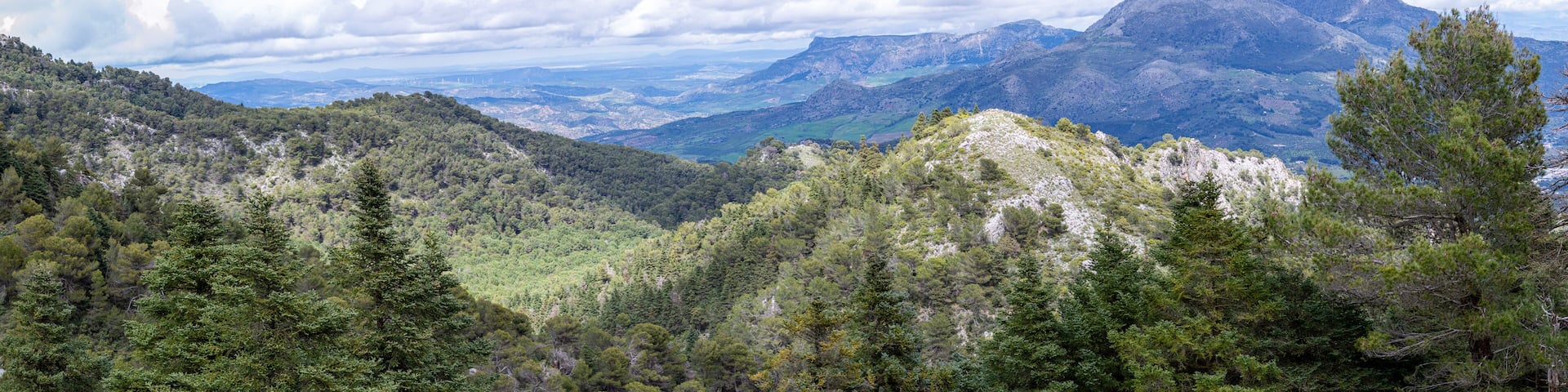 Panoramic view on Yunquera and surrunding pine forest from Puerto Saucillo viewpoint, Sierra de las Nieves national park, Andalusia, Spain