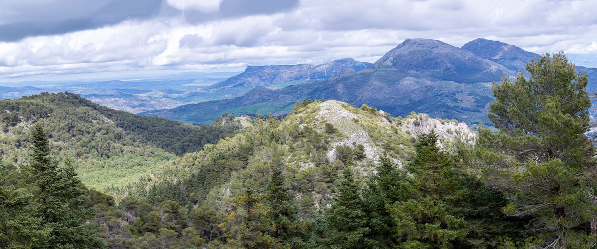A mountainous landscape with dense forests and rugged terrain.