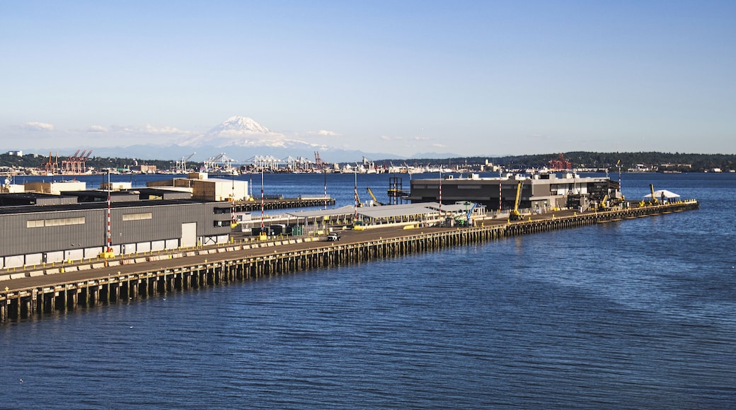 Seattle_SeattleCruiseShipTerminal91_6258438_05