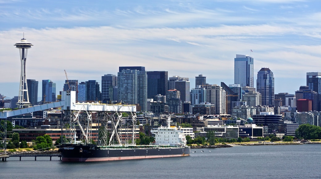 Terminal de cruceros 91 de Seattle