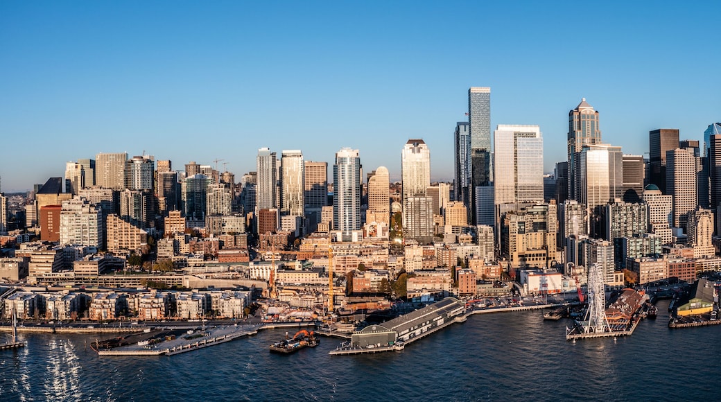 Seattle Cruise Ship Terminal 91