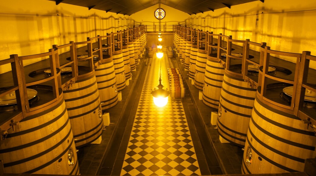 Chateau Pape Clement showing interior views