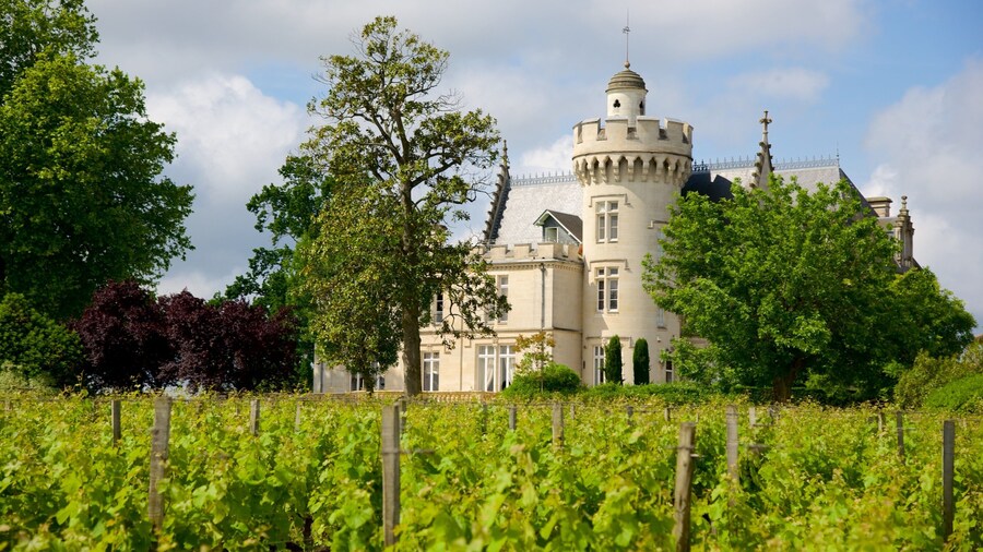 Chateau Pape Clement featuring a park, château or palace and heritage elements