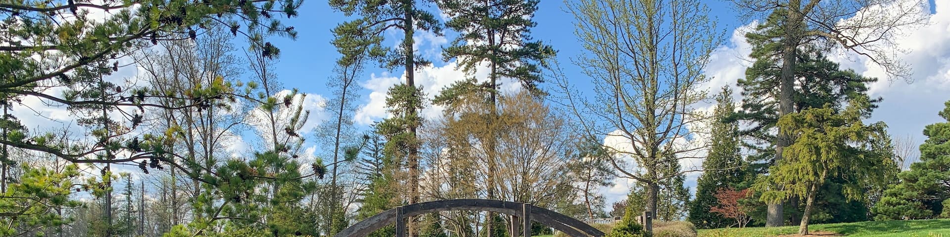 Dawes Arboretum Japanese Garden with Koi pond and water reflections on a sunny day