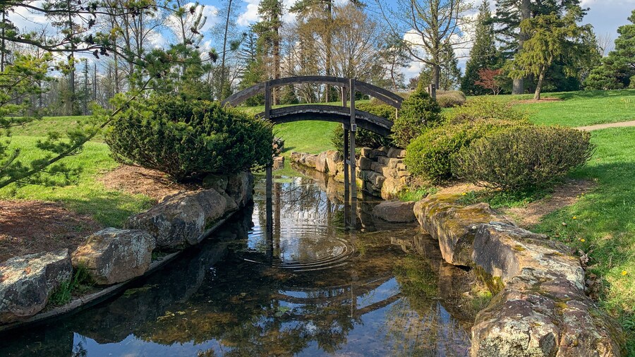 Dawes Arboretum