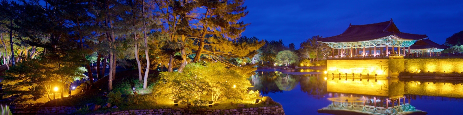 Gyeongju Donggung Palace and Wolji Pond showing a lake or waterhole and night scenes