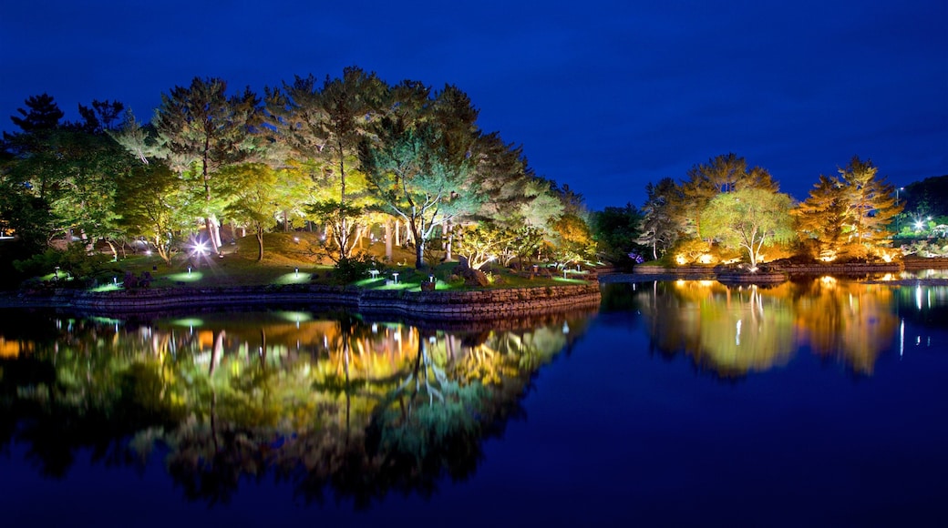 Gyeongju Donggung Palace and Wolji Pond showing a lake or waterhole and night scenes