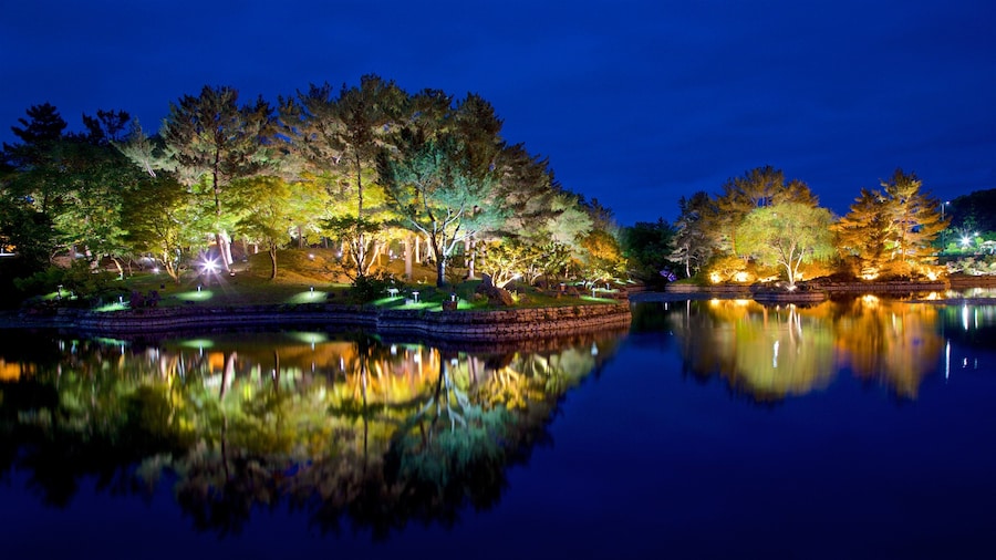 Gyeongju Donggung Palace and Wolji Pond showing a lake or waterhole and night scenes