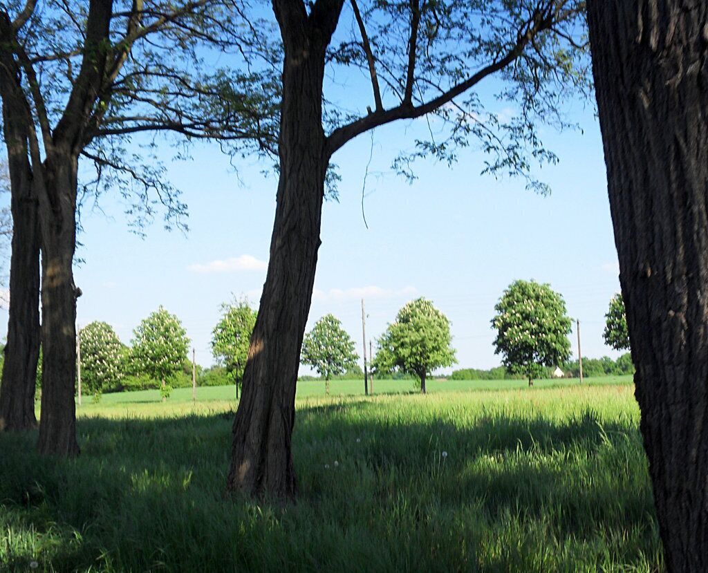 Hermsdorf - Grünberg