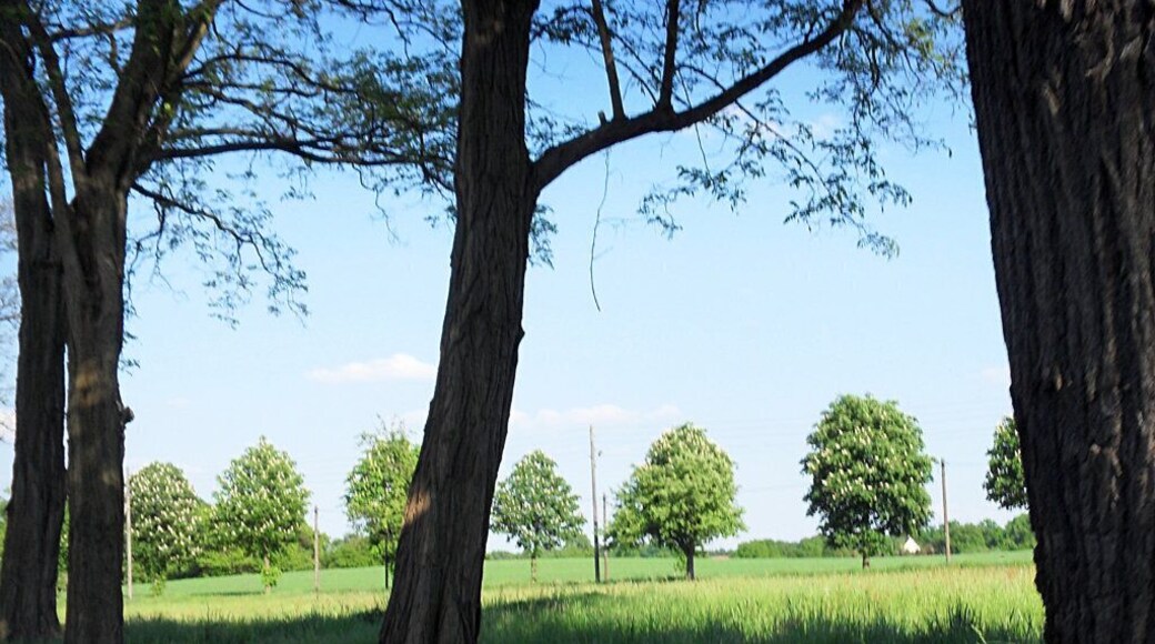 Hermsdorf - Grünberg