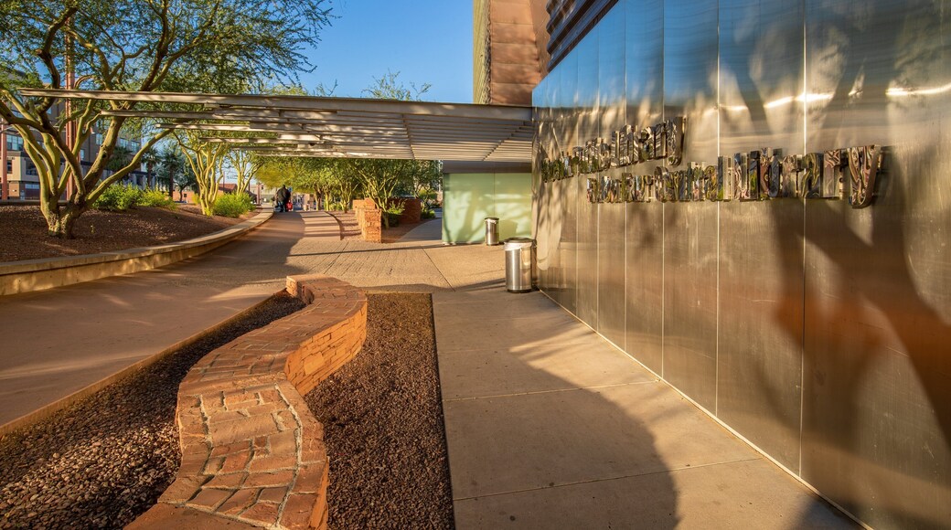 Burton Barr Central Library